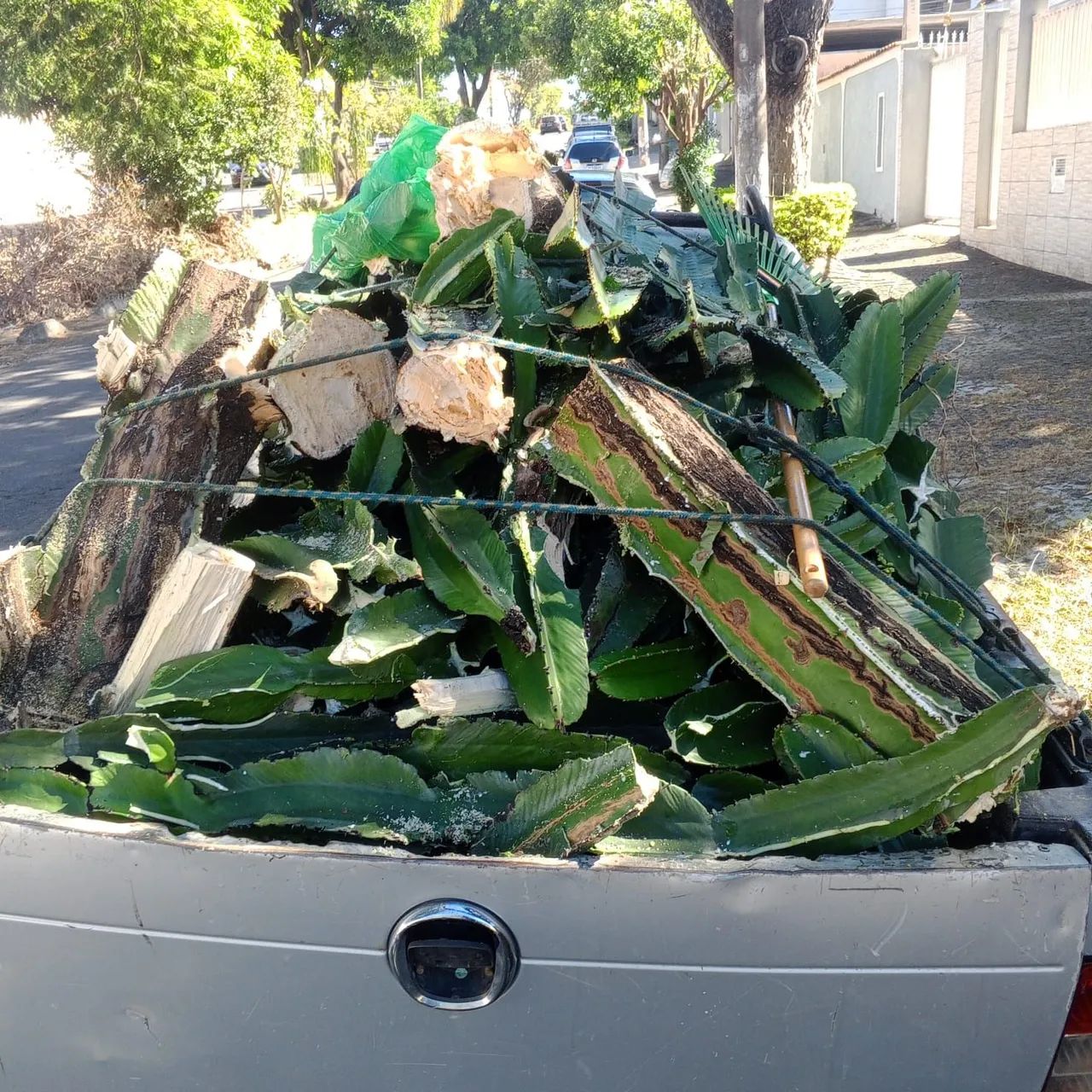 Limpeza de Terreno partir $150 - Foto 3