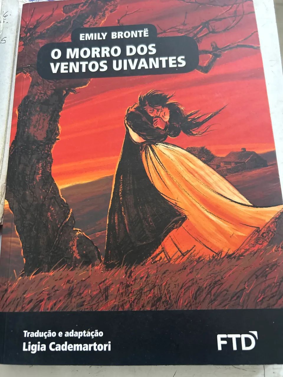 O morro dos ventos uivantes 