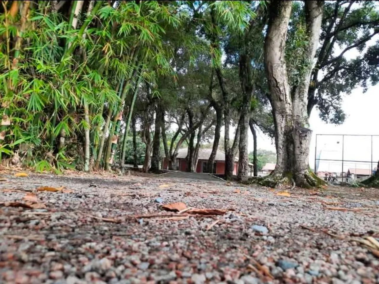 Apartamento em Tijucas/SC (centro) aluguel semimobiliado, incluso, água, cond. e Gás* - Foto 3