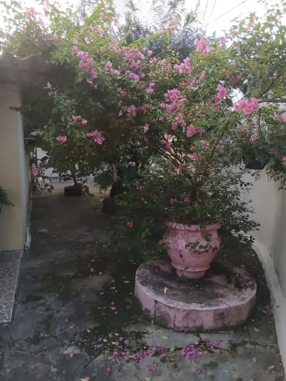 Casa modelo pratinha  - Foto 2