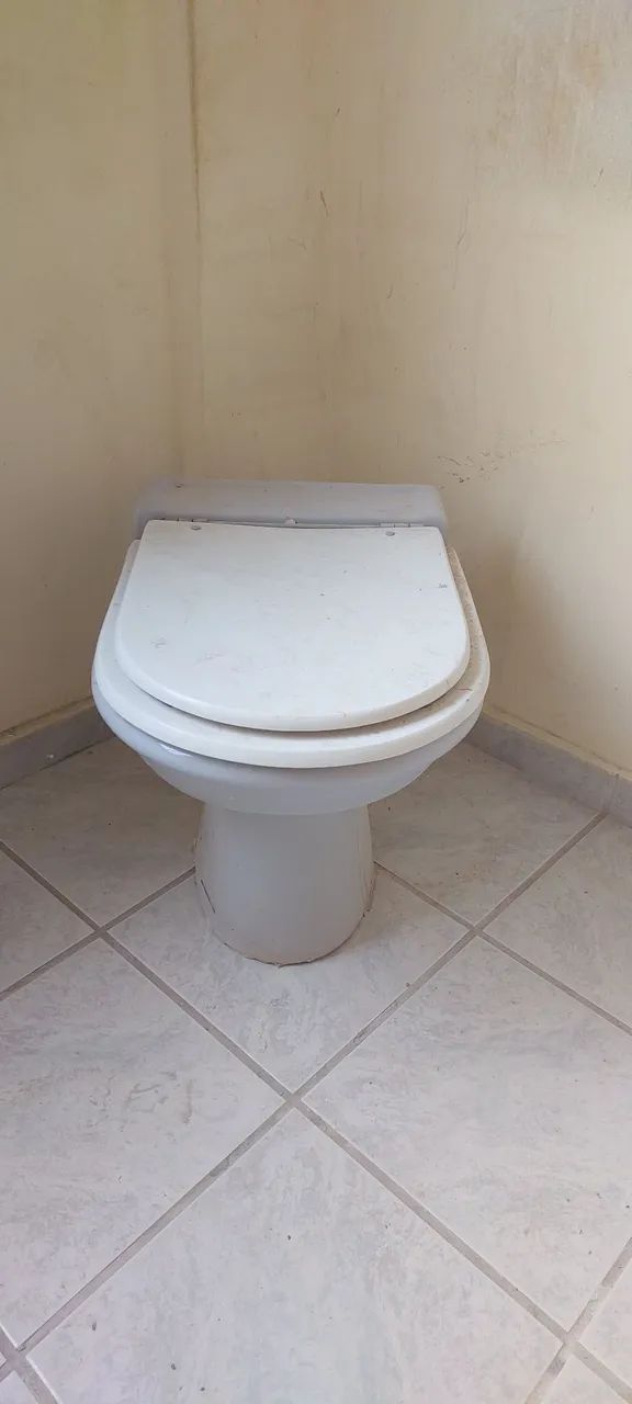 Vaso Sanitário com Assento (tamanho padrão) - Foto 3
