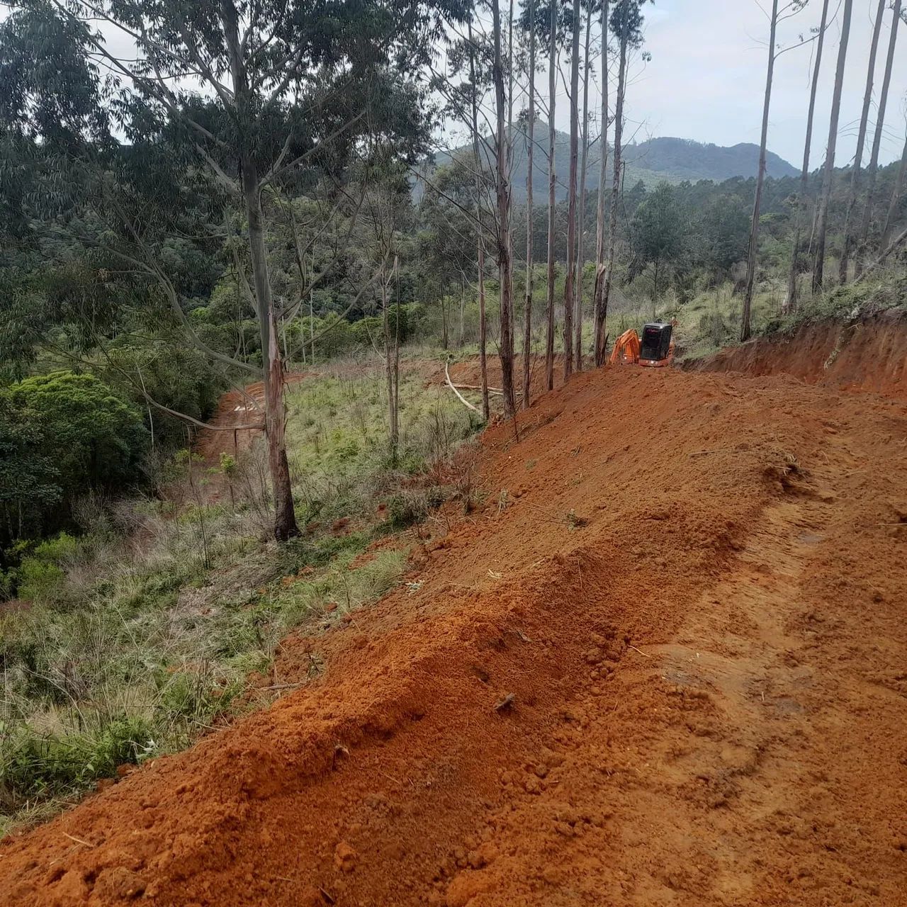 Sítio em Imarui ( 50 mil R$ cada 1000 M² ) - Foto 4