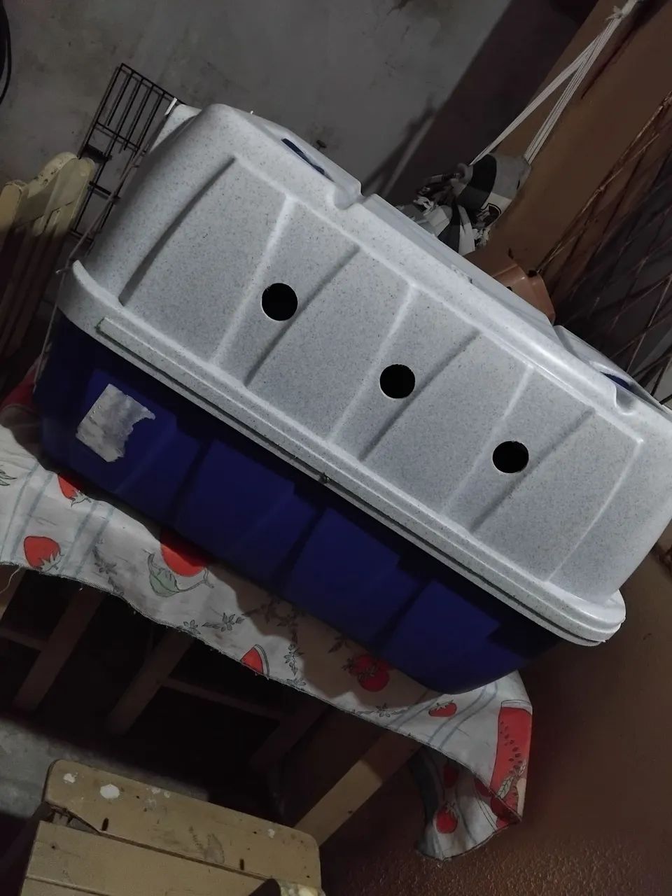 Caixa transportadora para cães  - Foto 4