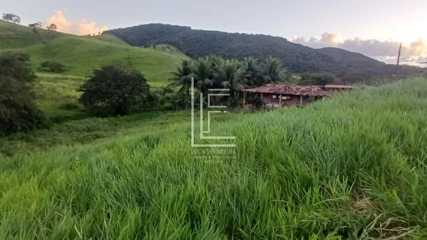 Ótimo sítio com 6 hectares e água em abundância em União dos Palmares - AL