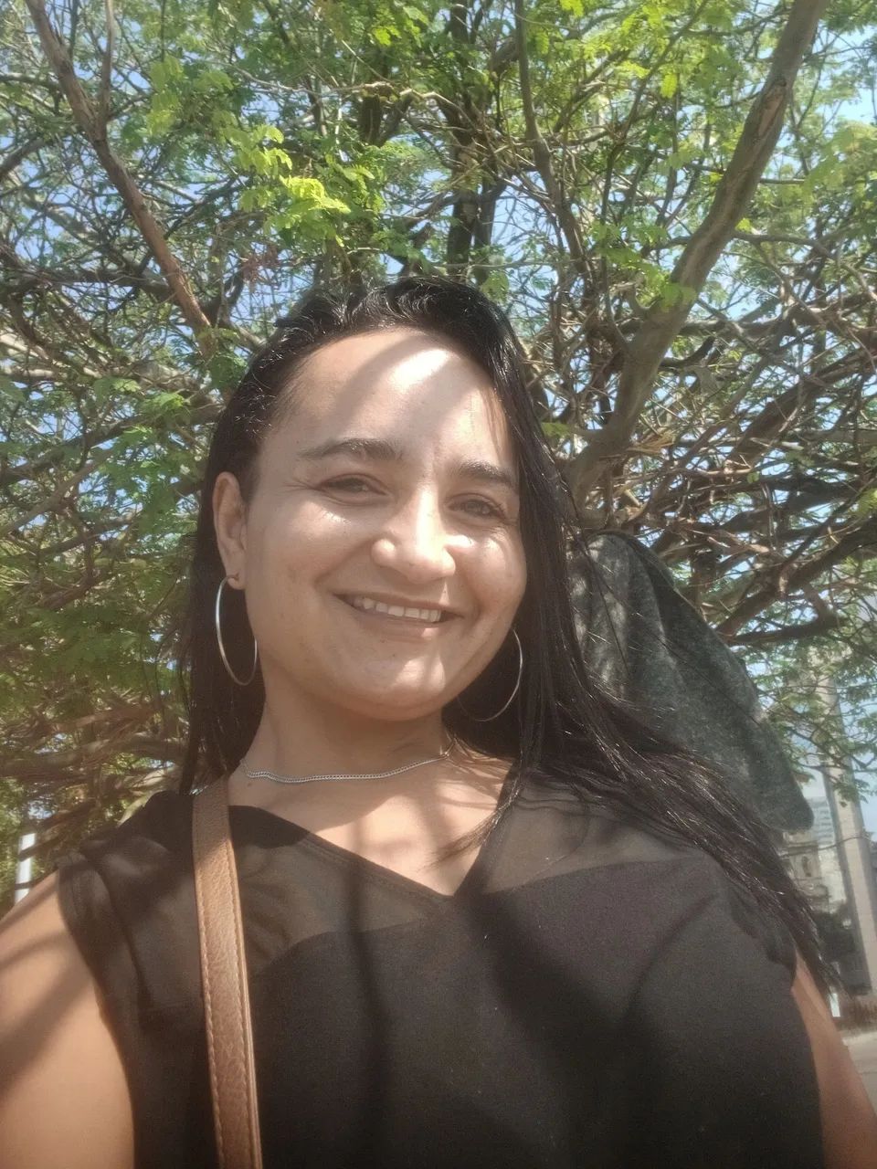 Diarista 