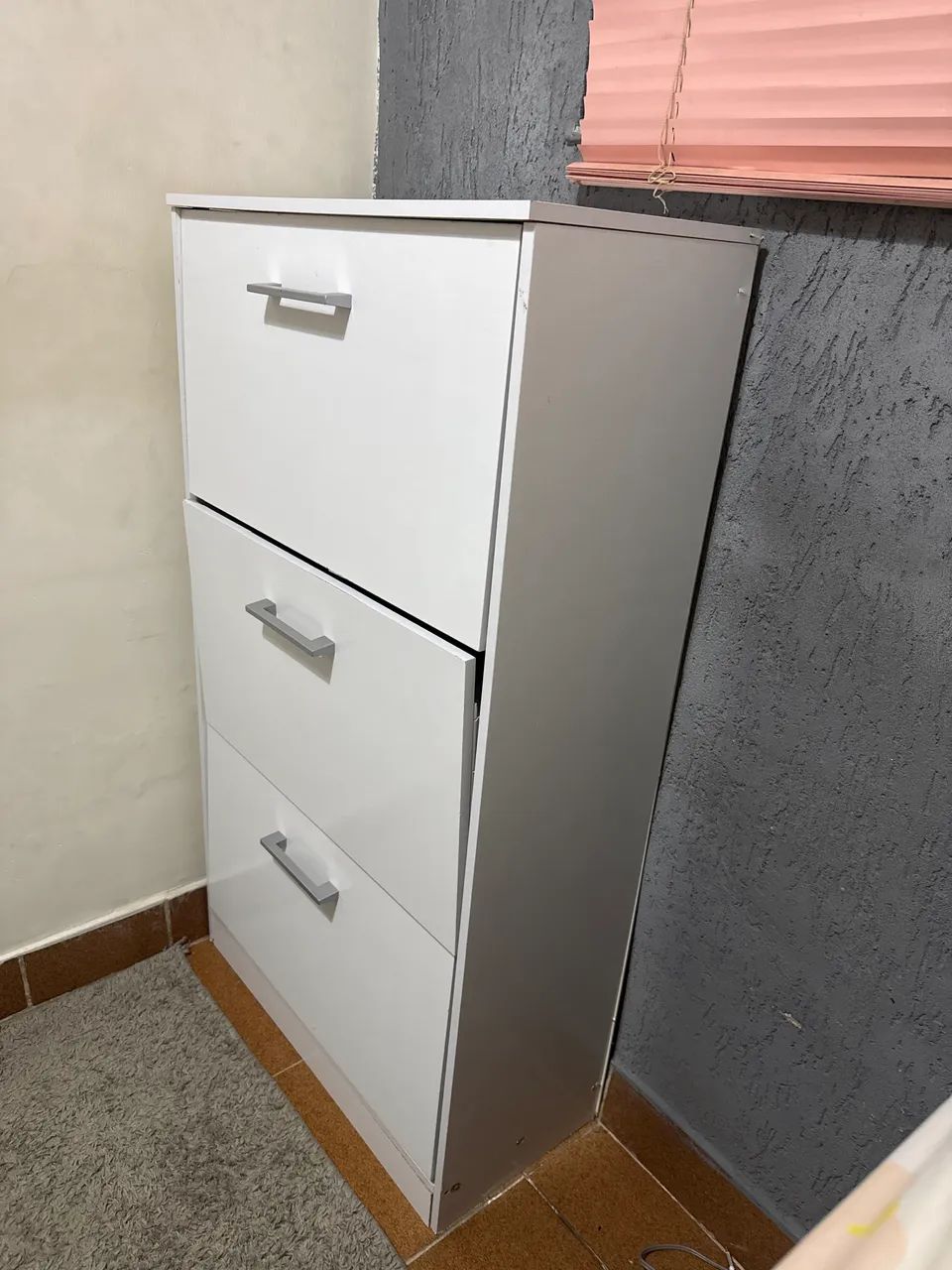Sapateira  - Foto 3