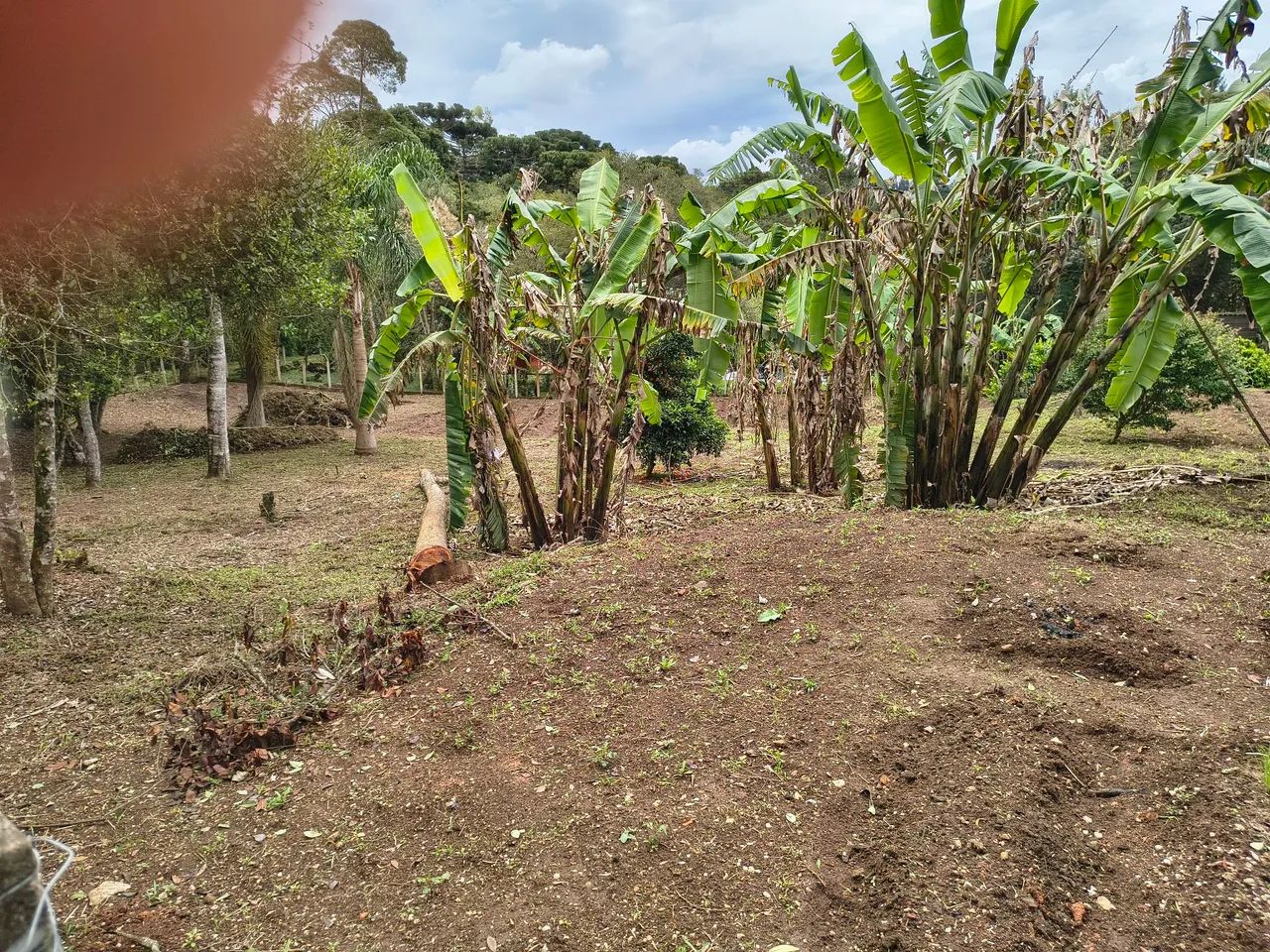 Chacrinha - Foto 3