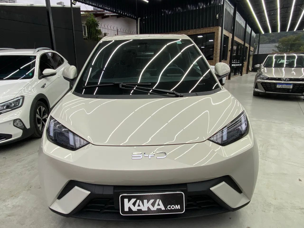BYD Dolphin Mini (Elétrico) 2025 - Foto 3