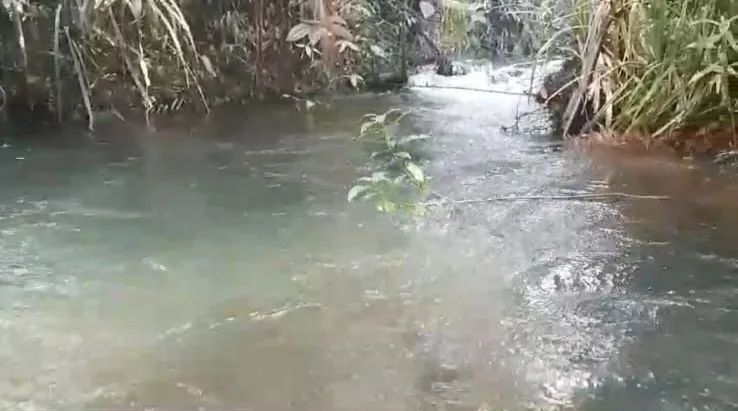 Vendo terreno com Igarapé água Gelada  - Foto 3