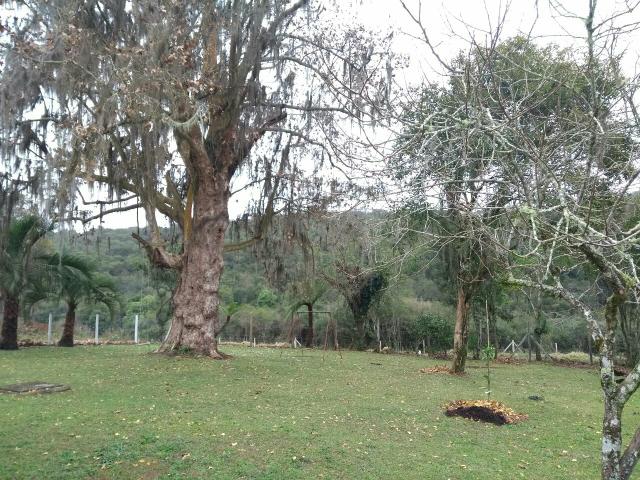 Lindo sítio terra boa - Foto 5