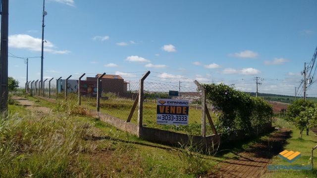Terreno à venda em Alto das grevileas, Maringá cod:1110006021 - Foto 11