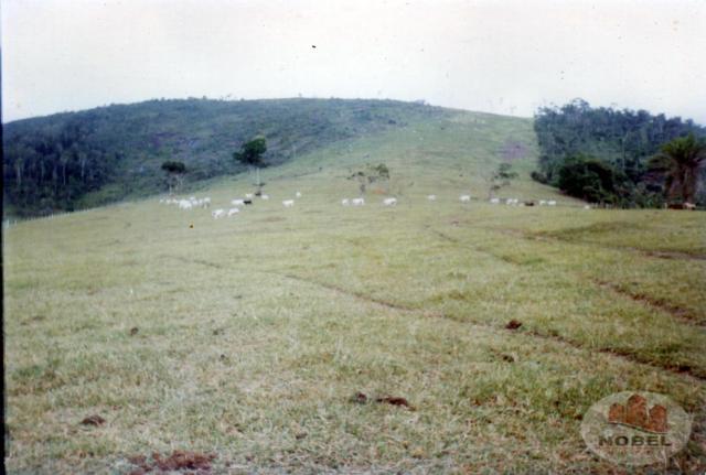 Chácara à venda em Zona rural, Castro alves cod:4570 - Foto 13