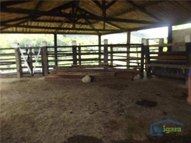Fazenda à venda, 2790000 m² por r$ 1.800.000,00 - centro - cravolândia/ba - Foto 17