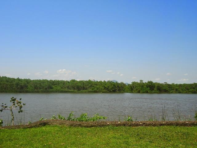 Excelente fazenda em Antonina 40 Alqueires - Foto 3