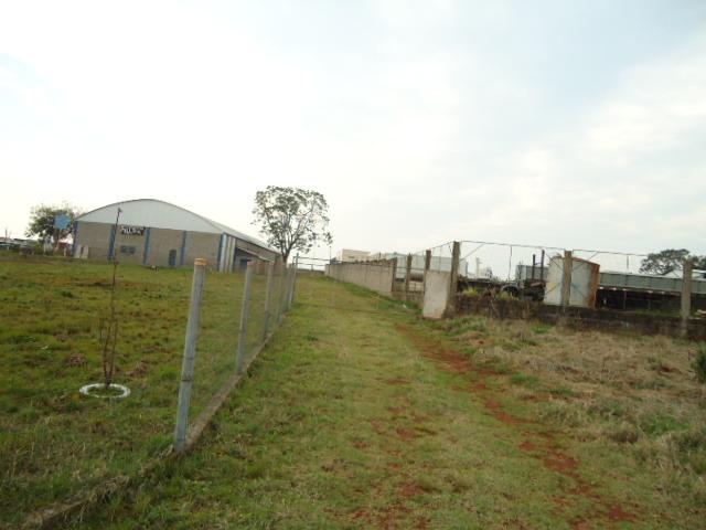 (PA2344) Galpão Comercial, Entre Ijuis, RS - Foto 5
