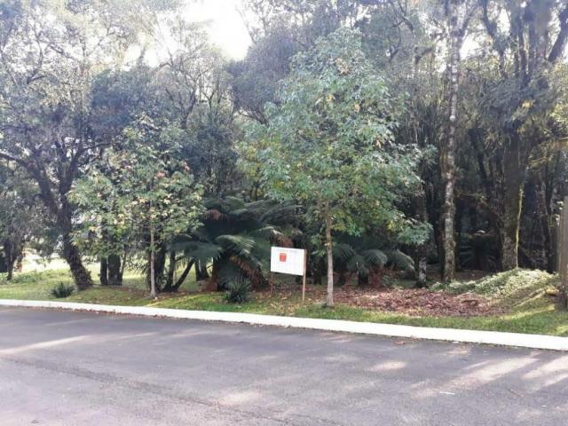 Terreno - Bairro Lagos de Gramado - Foto 2