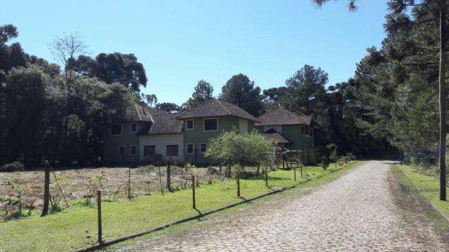Casa à venda com 2 dormitórios em Parque das hortênsias, Canela cod:NI05502 - Foto 9