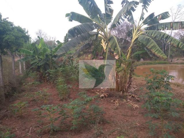 Chácara com 2 dormitórios à venda, 13200 m² por r$ 250.000 - jardim rivera - Foto 11