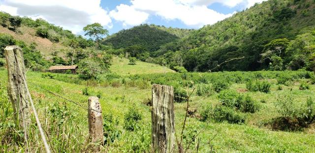 Fazenda 295 hectares próximo de Governador ValadaresMG - Foto 12