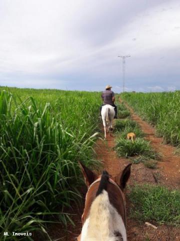 Fazenda para Venda em Gurupi, Área Rural de Gurupi, 3 dormitórios, 2 banheiros, 5 vagas - Foto 10