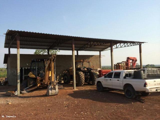 Fazenda para Venda em Gurupi, Área Rural de Gurupi, 3 dormitórios, 2 banheiros, 5 vagas - Foto 5