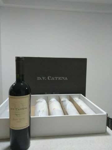 Vinhos Argentinos