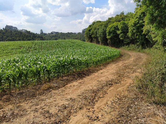 Sitio estrada doce fino - Foto 2