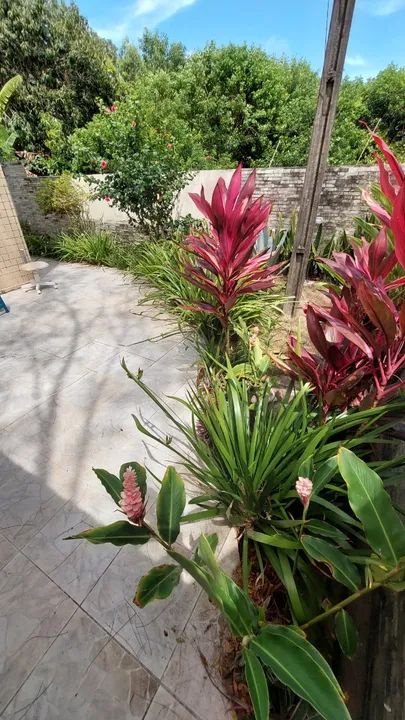 Apartamento no Bessa 3 Quartos Mobiliado no Térreo com Área Privativa Externa e Piscina - Foto 4