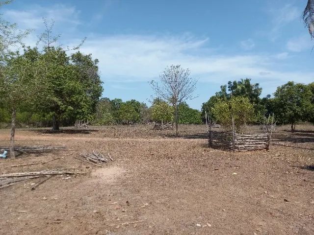 Fazenda com 187 Hectares em Demerval Lobão - Lado Zona Urbana  - Foto 3