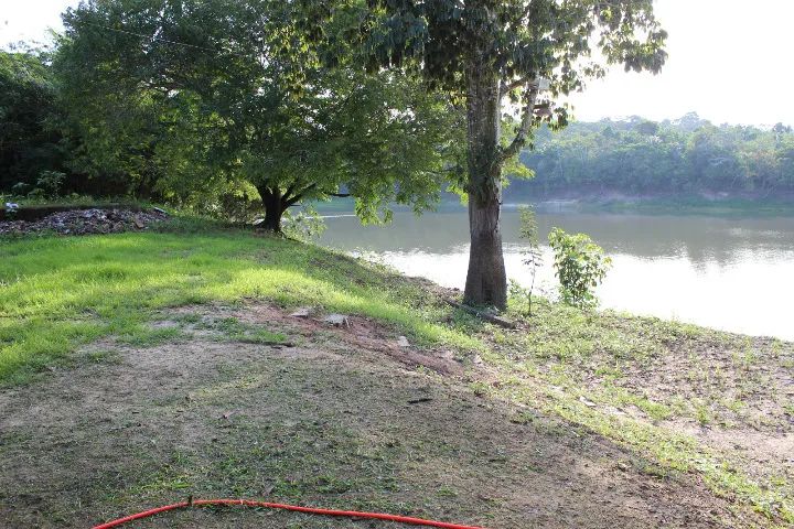 VENDO OU TROCO SÍTIO PERTO DE ITACOATIARA 130 TROCA ou VENDA - Foto 15