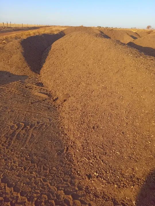 Esterco de Gado Curtido, Confinado.