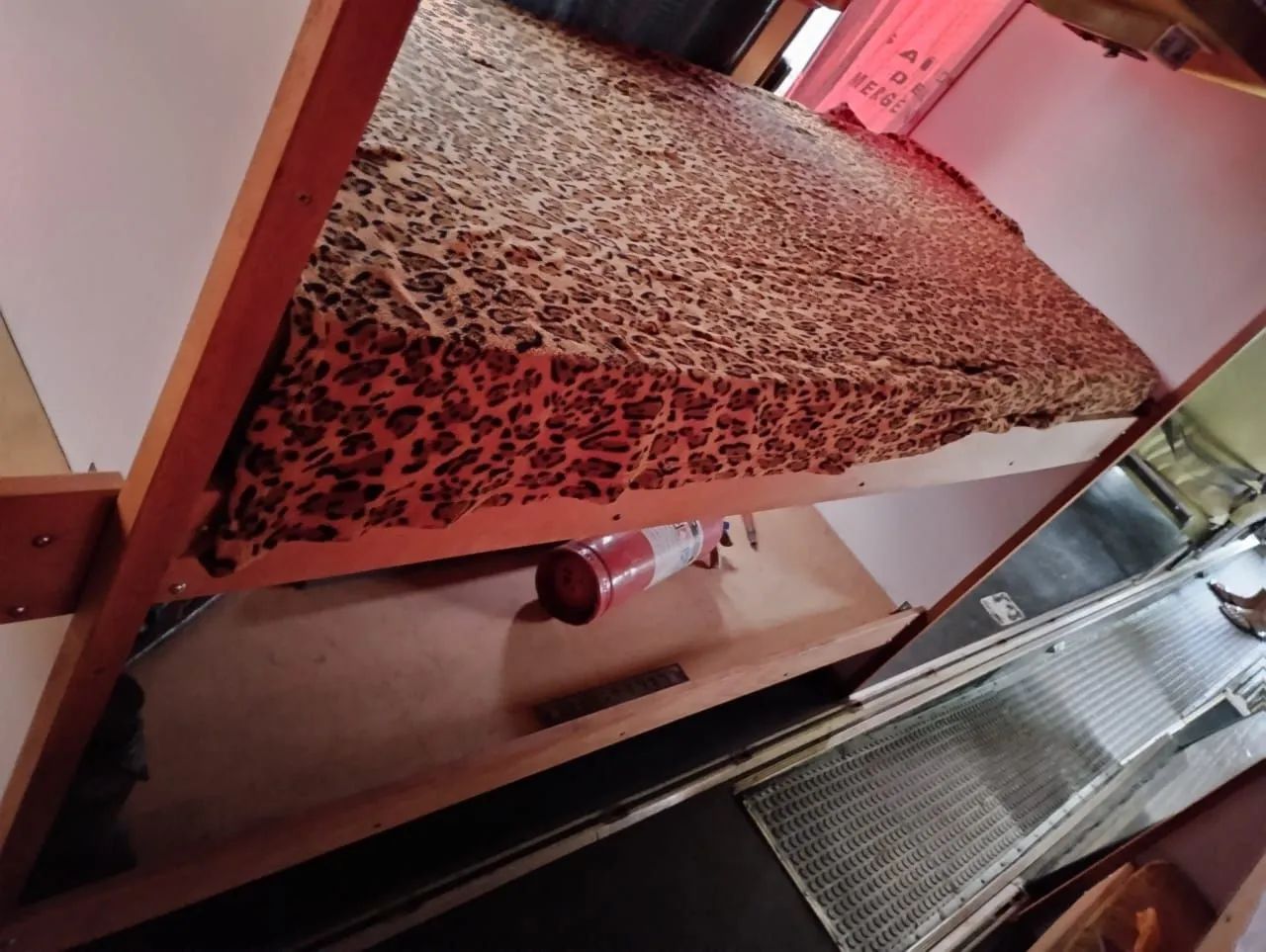 Ônibus Diplomata Banda  Scania - Grupo Som da Terra - Foto 10