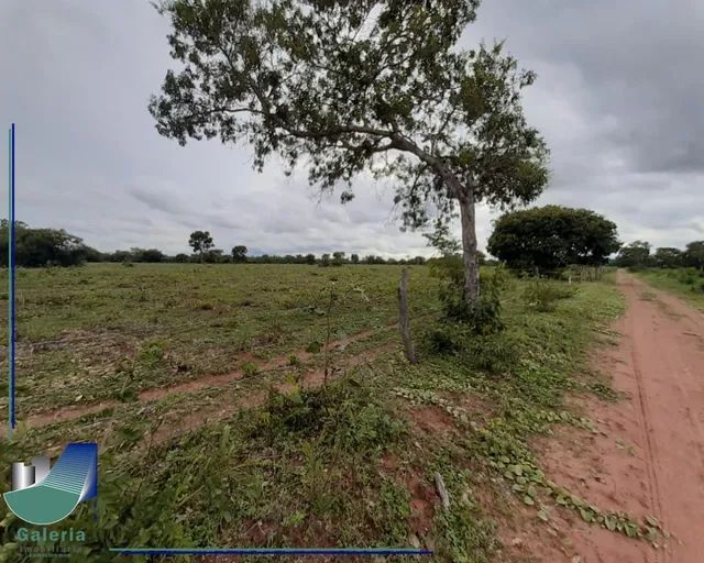 Fazenda com 4.000 hectares à venda Chapada Gaúcha - MG - Terrenos ...