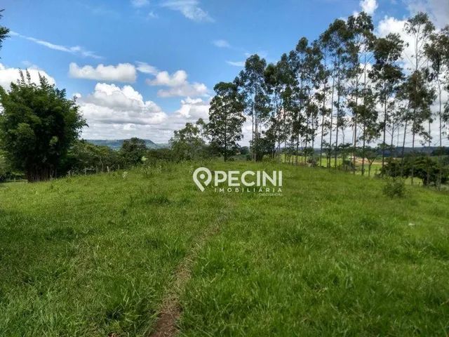 Sítio para venda em Corumbataí. - Foto 4