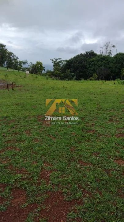 Fazenda, 32 alqueires - Zona Rural - Palmas/TO - Foto 3