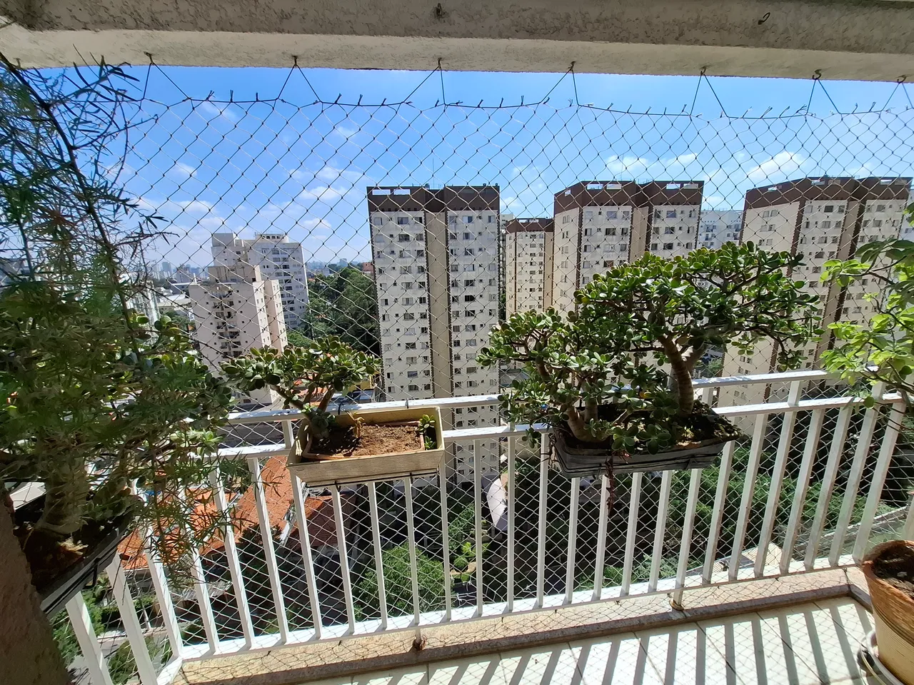 Imóvel para aluguel com 75 metros quadrados com 3 quartos no Jabaquara - São Paulo - SP