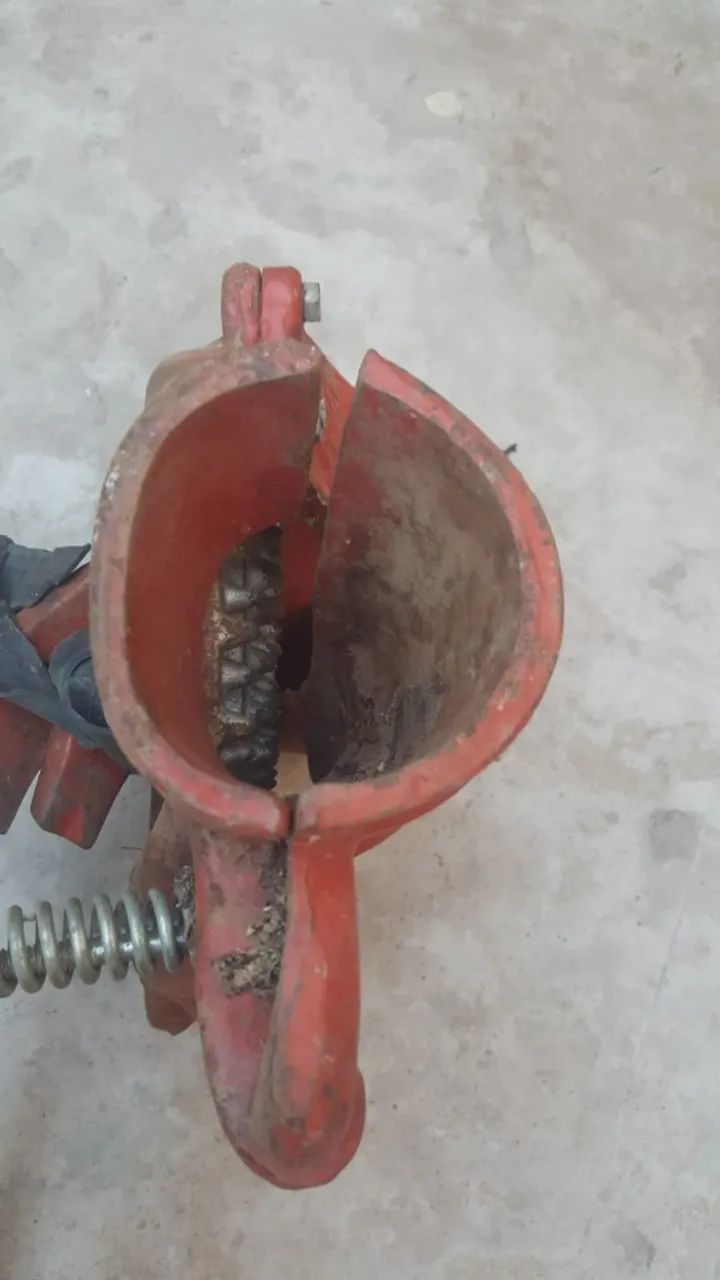 Debulhado de milho  - Foto 2