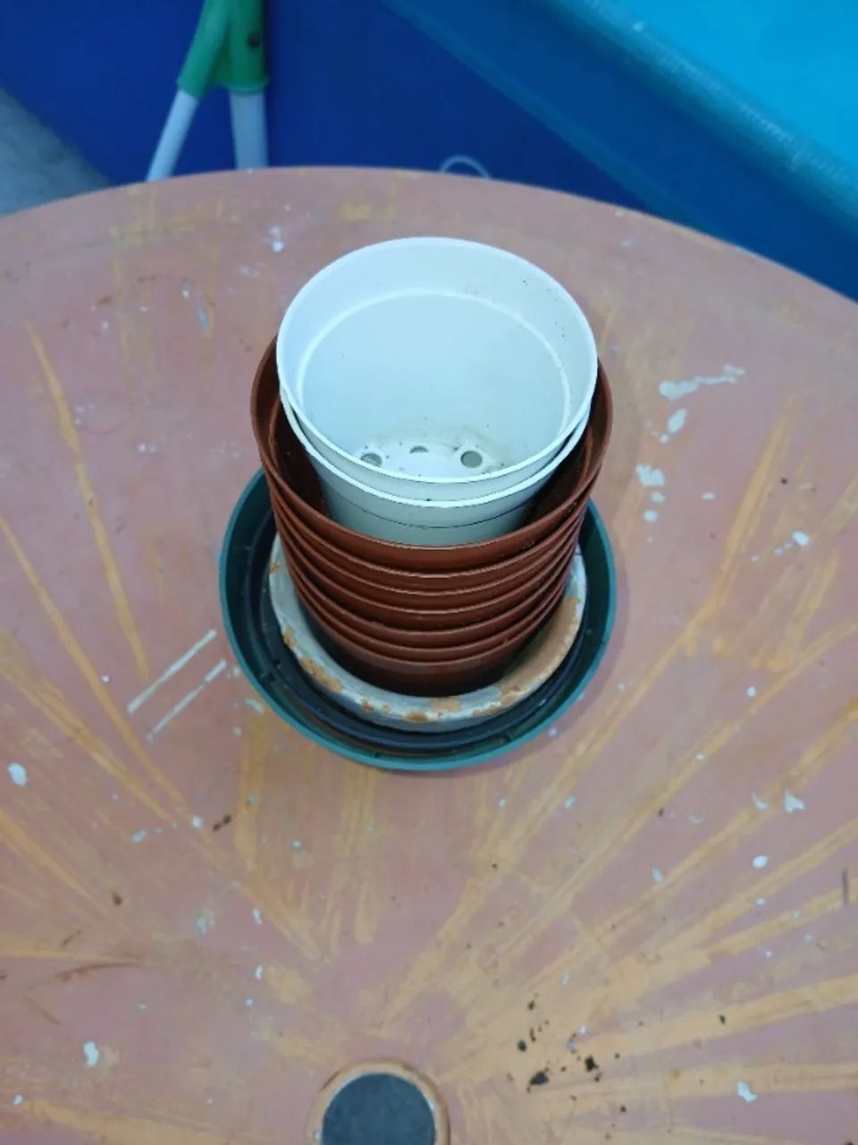 vasos pequenos para plantas todos juntos lote