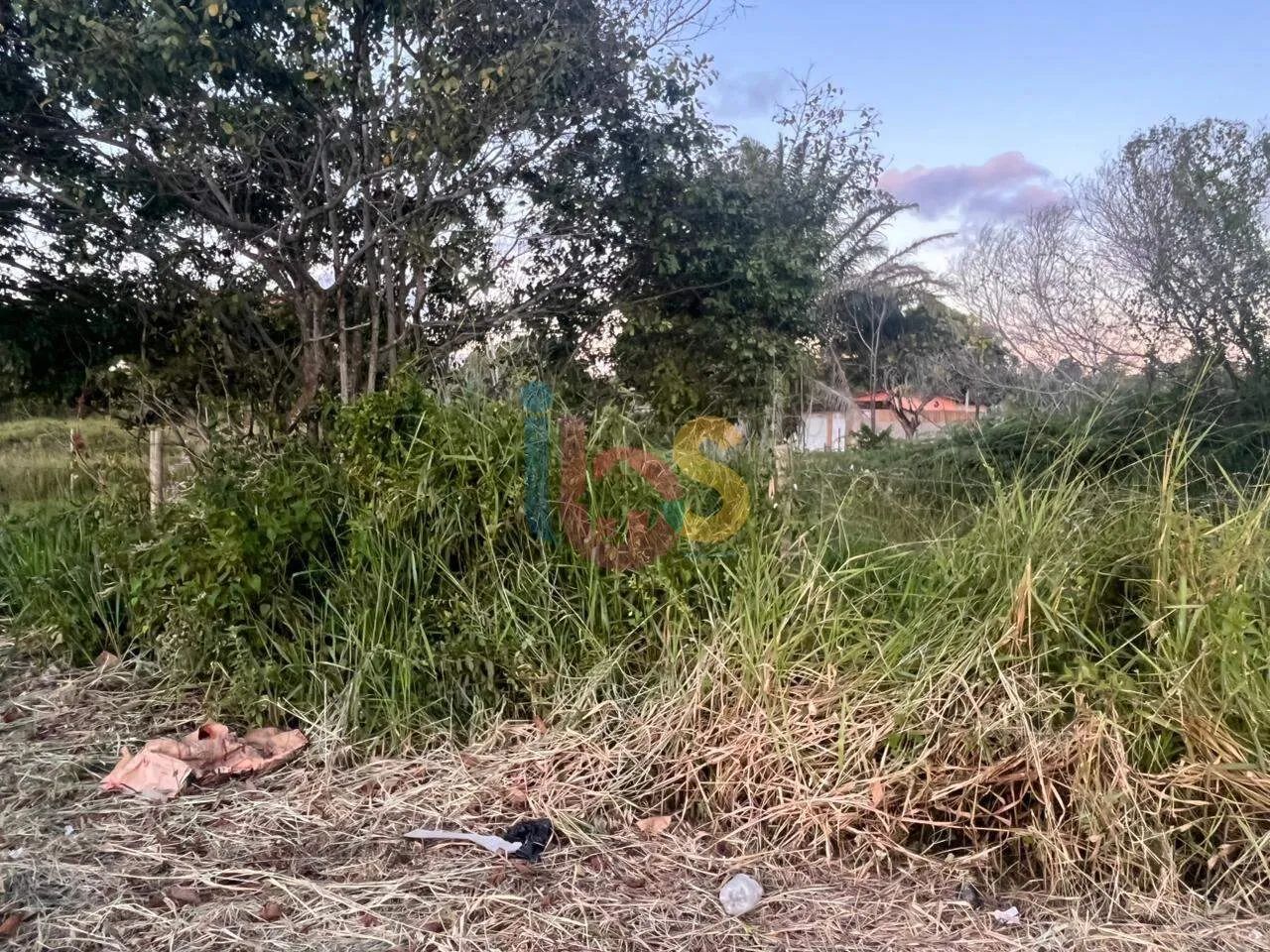 Excelente Lote Jóia do Atlântico - Foto 4