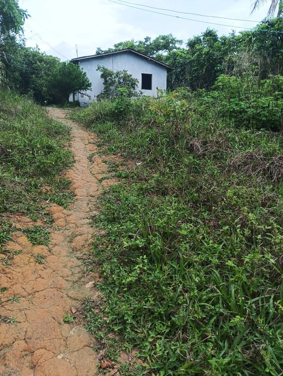 Sítio perto do ponto turístico da igreja ruínas de são bento