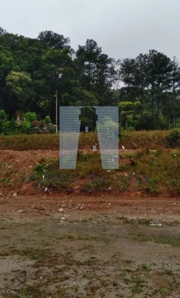 LINDO TERRENO COM 20 MIL MT2 NO SAMBAQUI A 500 MTS DO MAR - Foto 4