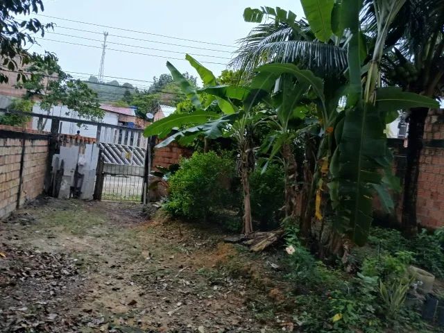 Foto - Manaus - Colônia Terra Nova