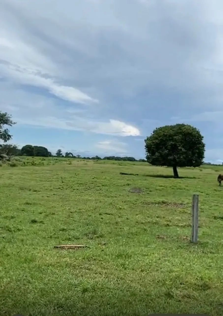 Vendo fazenda em Araguaína Mt - Foto 2