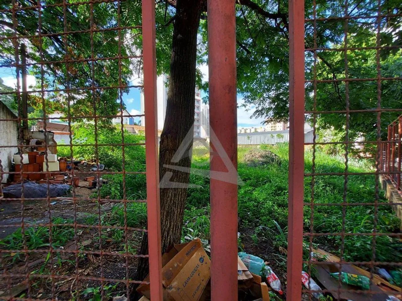 Terreno à venda em Campinas, Vila Itapura - Foto 5