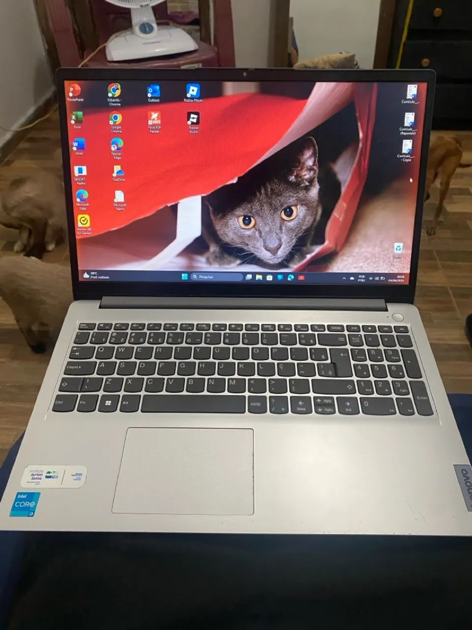 Notebook Lenovo Intel Core i3