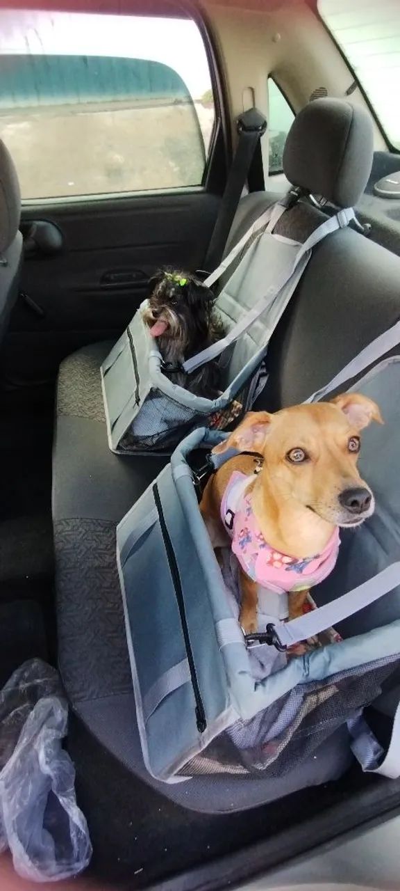 2 Cadeirinhas NOVAS  - Foto 4