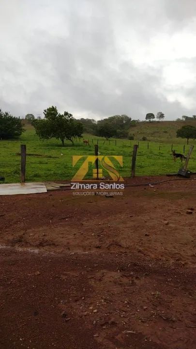 Fazenda, 32 alqueires - Zona Rural - Palmas/TO - Foto 12