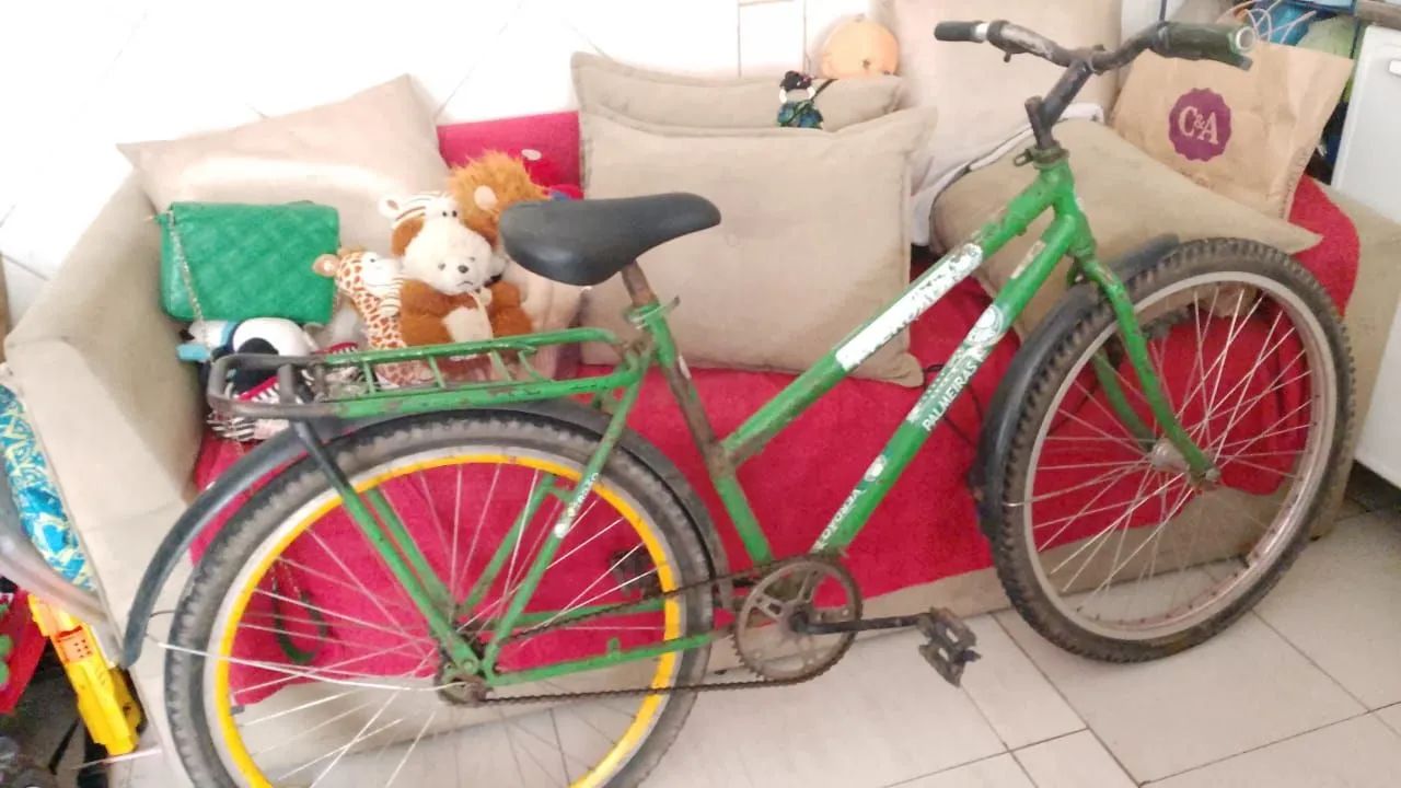 Bicicleta Verde aro 26 - Palmeiras