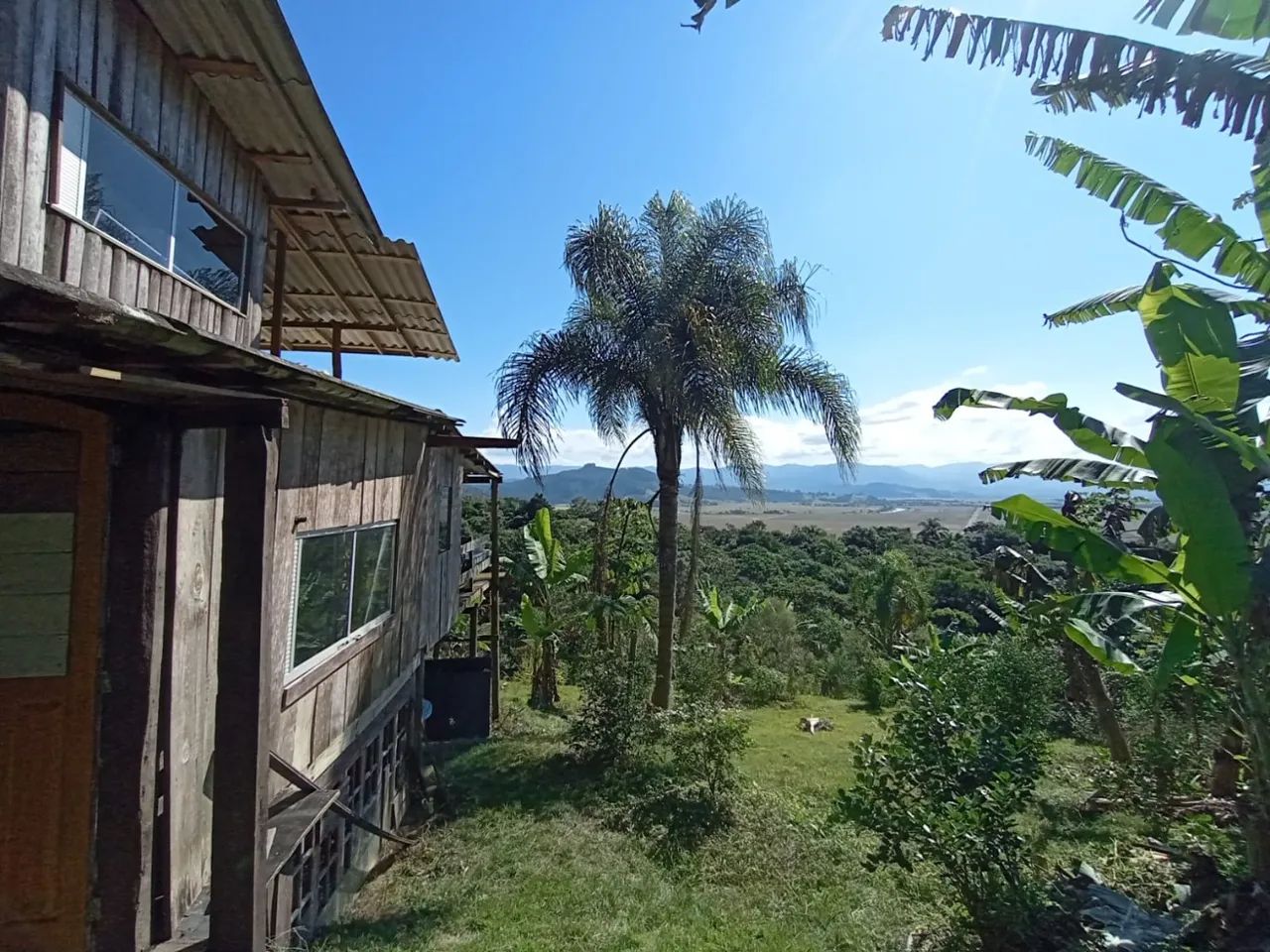 ECO SÍTIO À VENDA COM 8.000 M² | SAMBAQUI | IMBITUBA - Foto 4