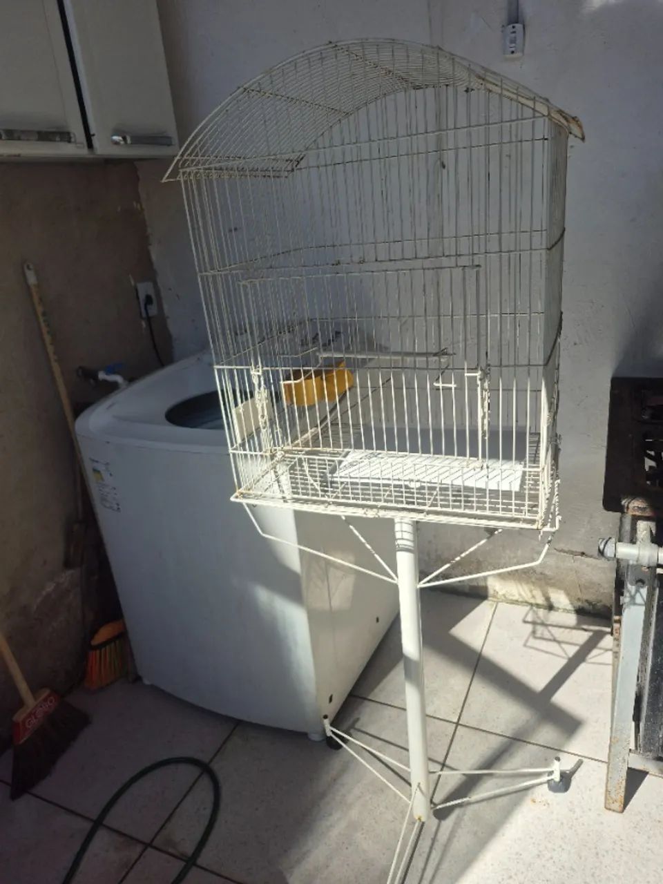 Viveiro grande. Calopsita cerca de 1,60 de altura - ABAIXOU!!!